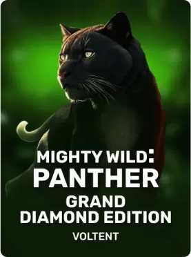 Mighty Wild Panther